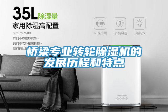 橋梁專業轉輪草莓污视频在线看的發展曆程和特點