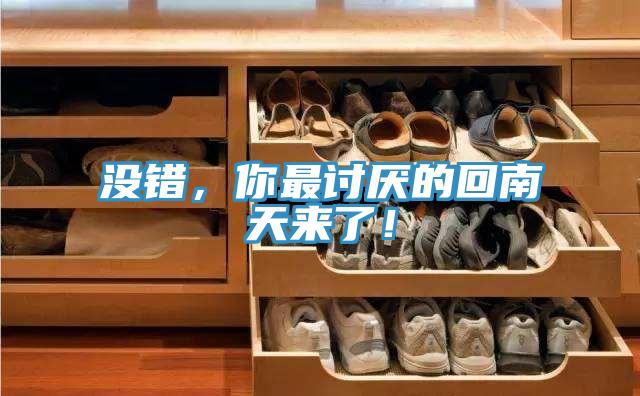 沒錯，你最討厭的回南天來了！