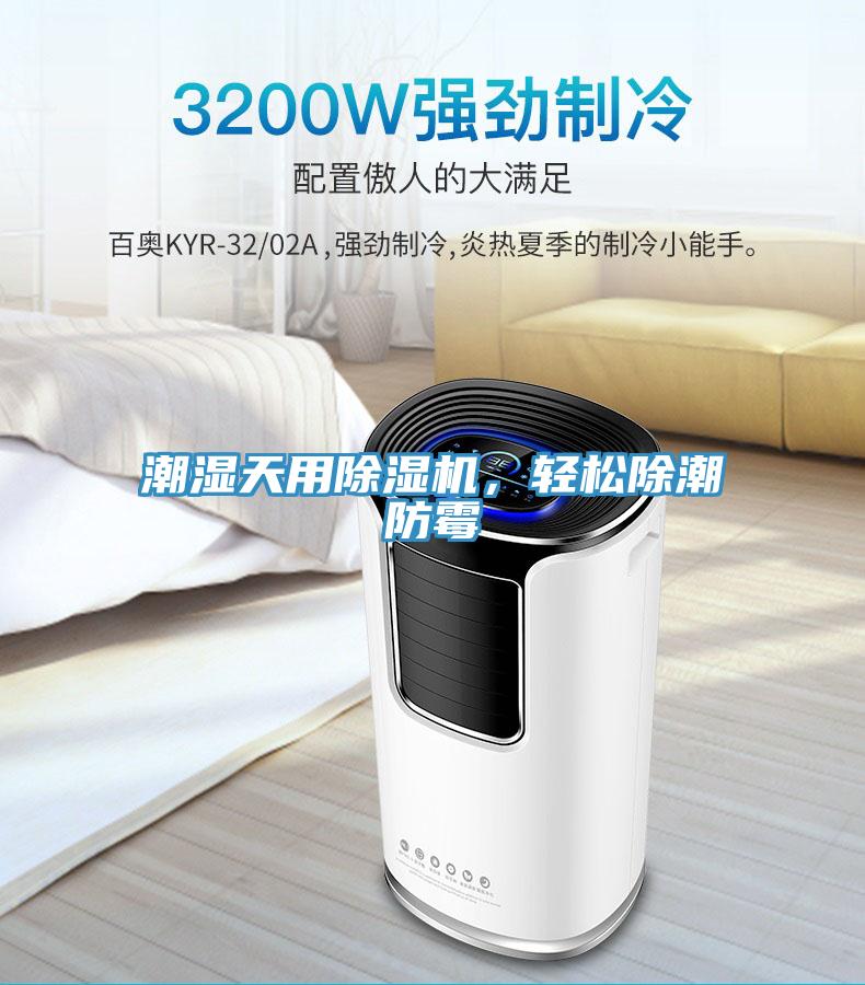 潮濕天用草莓污视频在线看，輕鬆除潮防黴