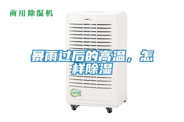 暴雨過後的高溫，怎樣除濕