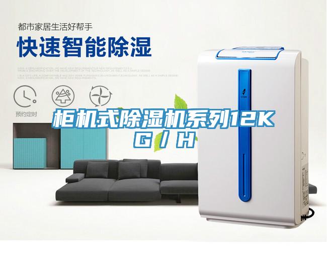 櫃機式草莓污视频在线看係列12KG／H