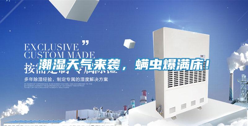 潮濕天氣來襲，蟎蟲爆滿床！