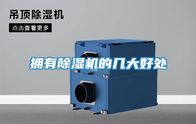 擁有草莓污视频在线看的幾大好處