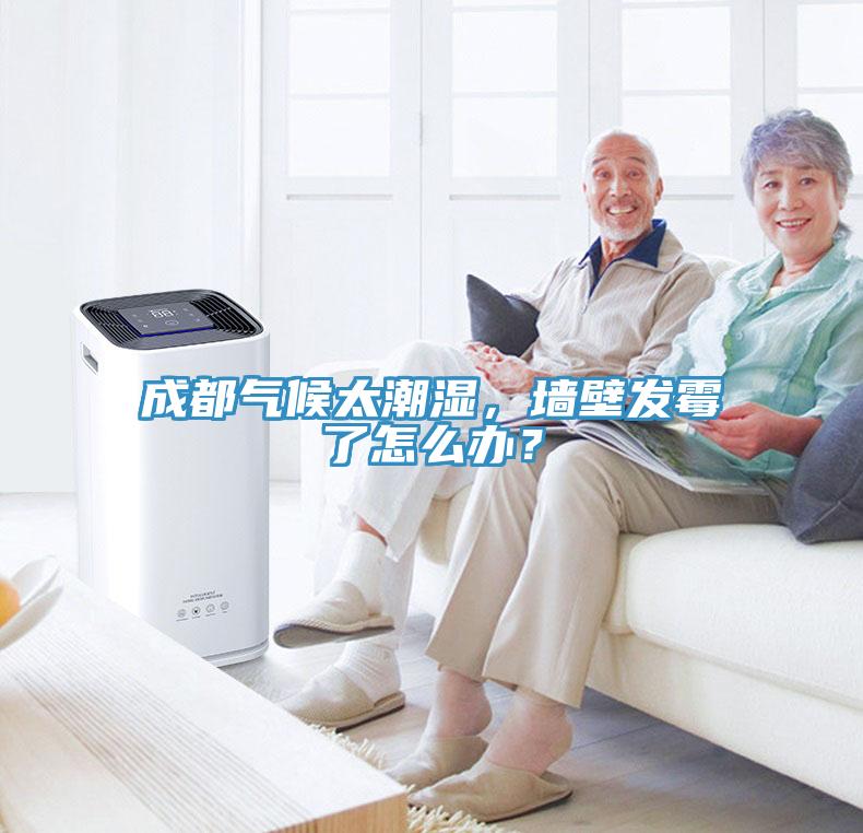 成都氣候太潮濕，牆壁發黴了怎麽辦？