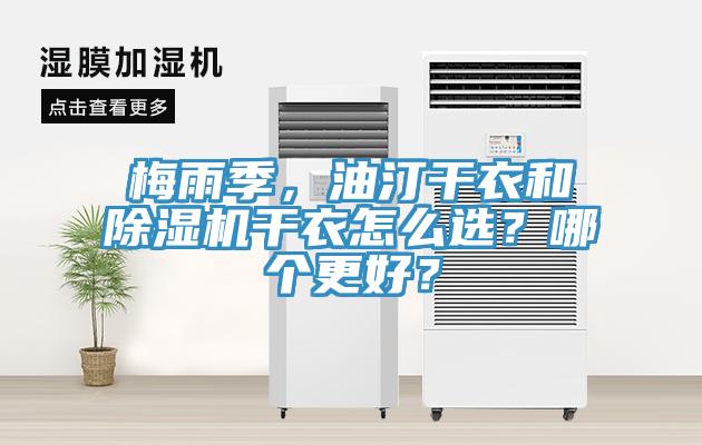 梅雨季，油汀幹衣和草莓污视频在线看幹衣怎麽選？哪個更好？