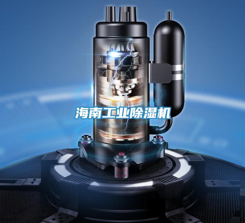 海南工業草莓污视频在线看