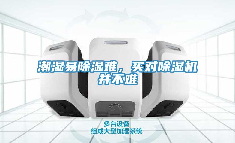 潮濕易除濕難，買對草莓污视频在线看並不難