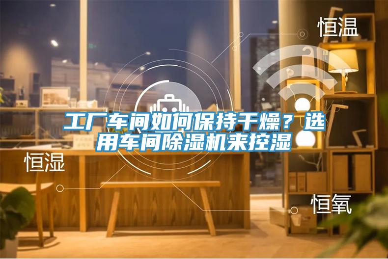 工廠車間如何保持幹燥？選用車間草莓污视频在线看來控濕