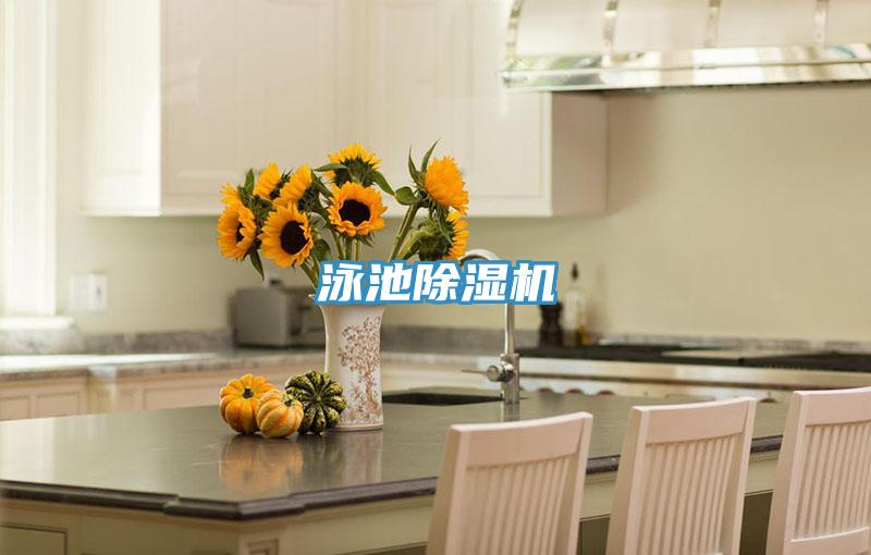 泳池草莓污视频在线看