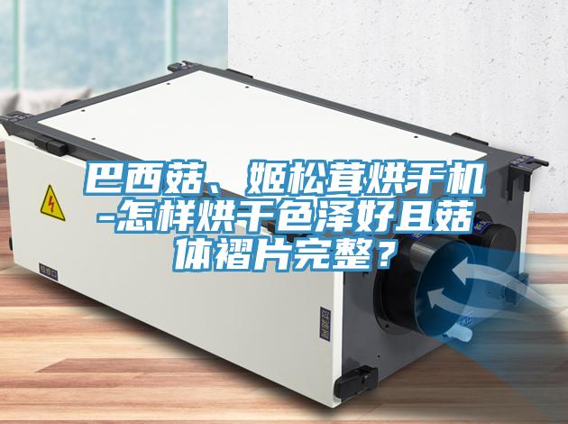巴西菇、姬鬆茸烘幹機-怎樣烘幹色澤好且菇體褶片完整？