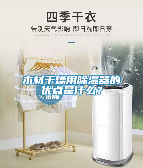 木材幹燥用除濕器的優點是什麽？