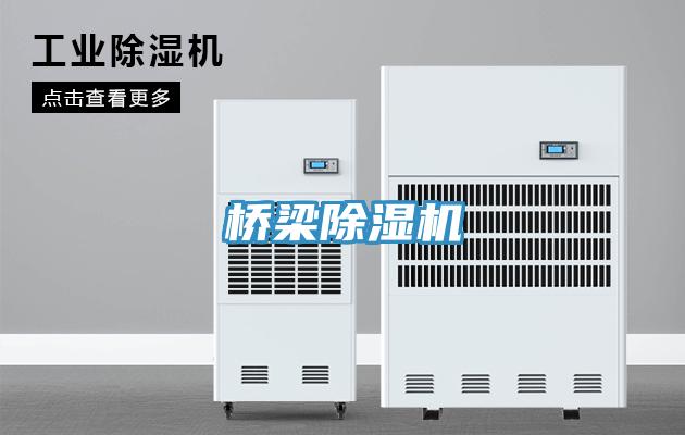 橋梁草莓污视频在线看