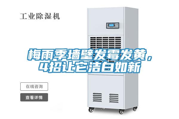梅雨季牆壁發黴發黃，4招讓它潔白如新