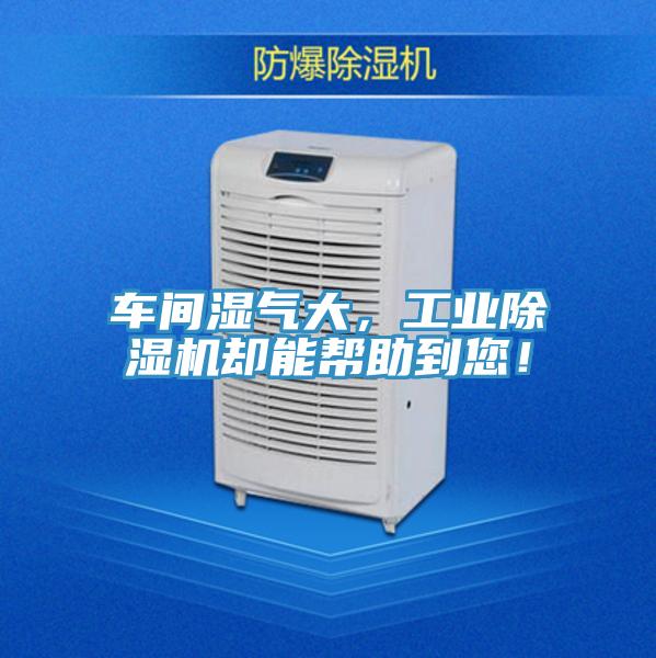 車間濕氣大，工業草莓污视频在线看卻能幫助到您！