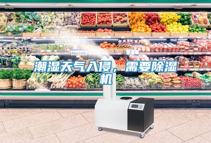 潮濕天氣入侵，需要草莓污视频在线看