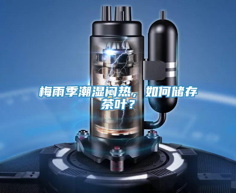 梅雨季潮濕悶熱，如何儲存茶葉？