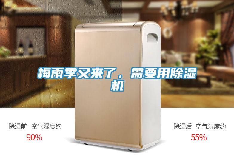 梅雨季又來了，需要用草莓污视频在线看