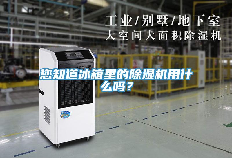 您知道冰箱裏的草莓污视频在线看用什麽嗎？