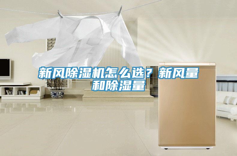 新風草莓污视频在线看怎麽選？新風量和除濕量