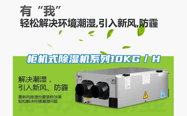 櫃機式草莓污视频在线看係列10KG／H
