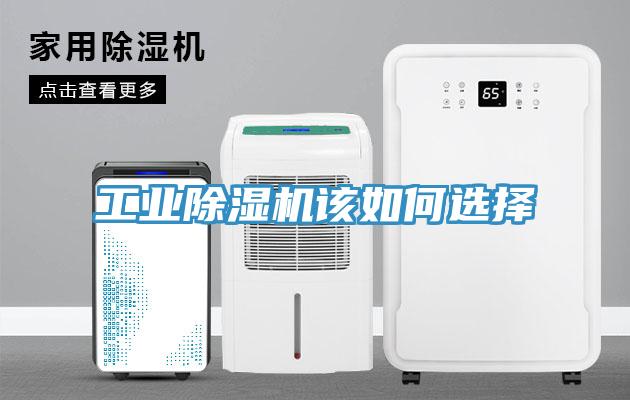 工業草莓污视频在线看該如何選擇