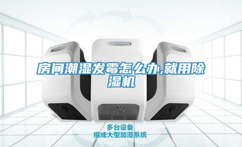 房間潮濕發黴怎麽辦,就用草莓污视频在线看
