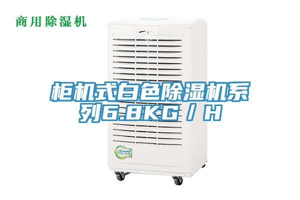 櫃機式白色草莓污视频在线看係列6.8KG／H