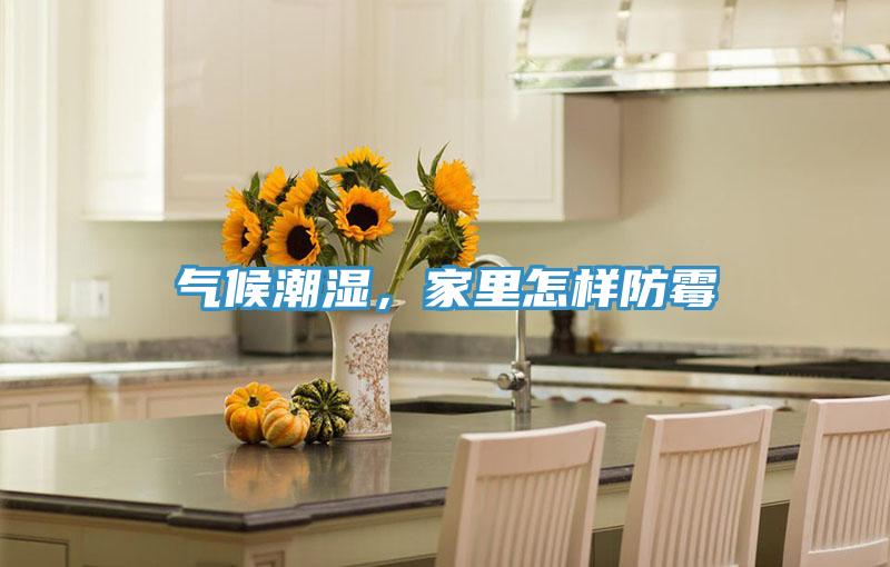 氣候潮濕，家裏怎樣防黴