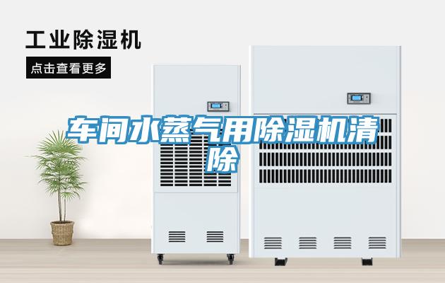 車間水蒸氣用草莓污视频在线看清除