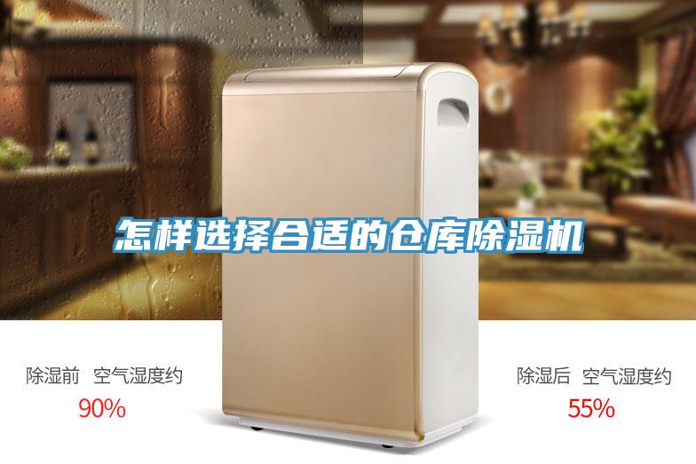 怎樣選擇合適的倉庫草莓污视频在线看