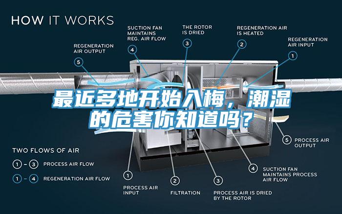最近多地開始入梅，潮濕的危害你知道嗎？