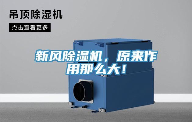 新風草莓污视频在线看，原來作用那麽大！