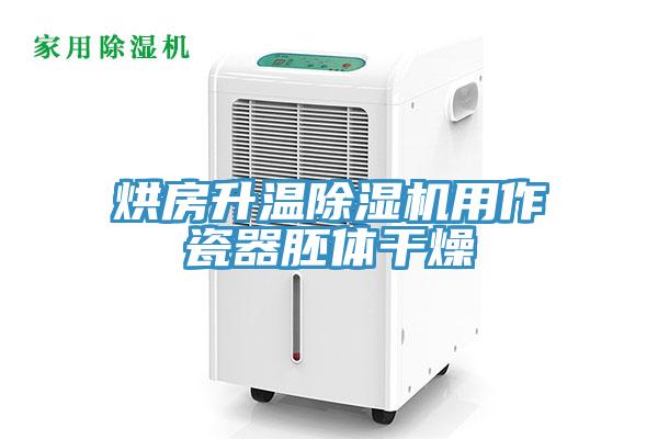 烘房升溫草莓污视频在线看用作瓷器胚體幹燥