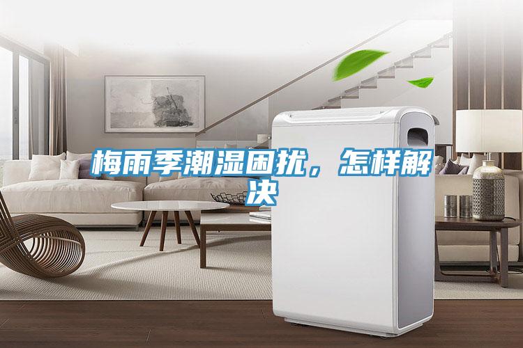 梅雨季潮濕困擾，怎樣解決