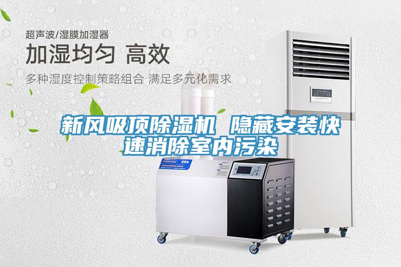 新風吸頂草莓污视频在线看 隱藏安裝快速消除室內汙染