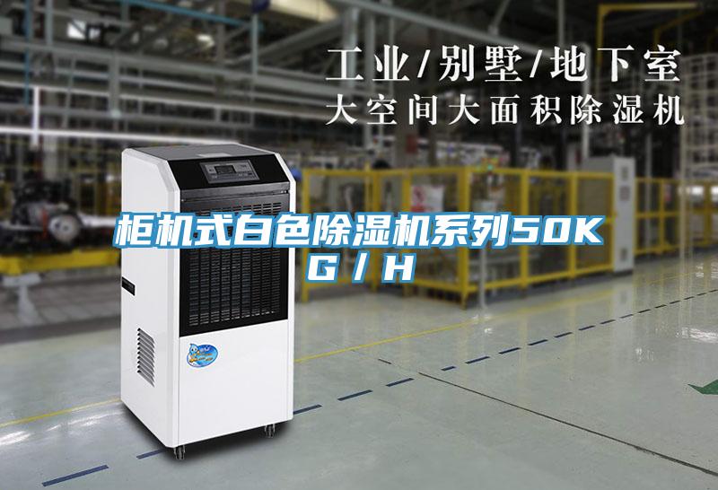 櫃機式白色草莓污视频在线看係列50KG／H