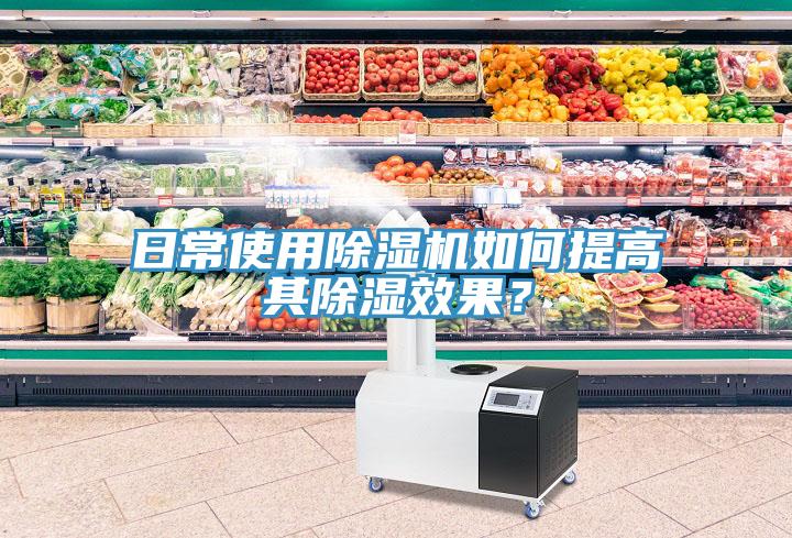 日常使用草莓污视频在线看如何提高其除濕效果？