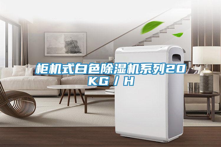櫃機式白色草莓污视频在线看係列20KG／H