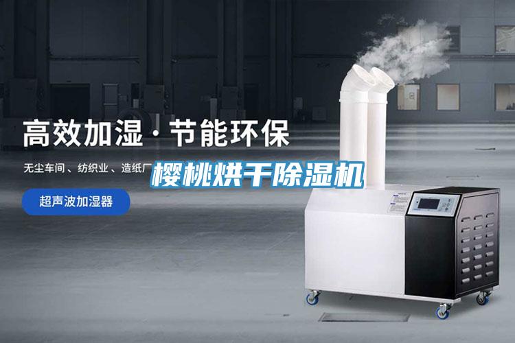 櫻桃烘幹草莓污视频在线看