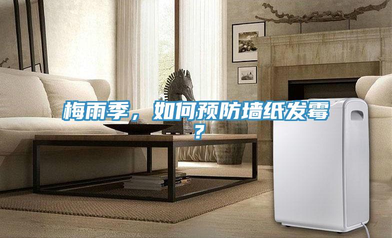 梅雨季，如何預防牆紙發黴？