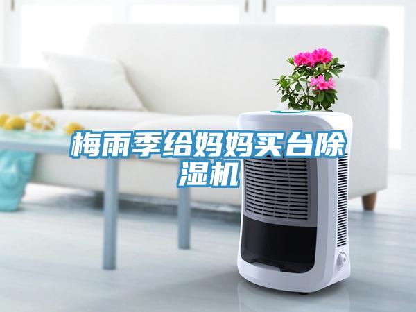 梅雨季給媽媽買台草莓污视频在线看