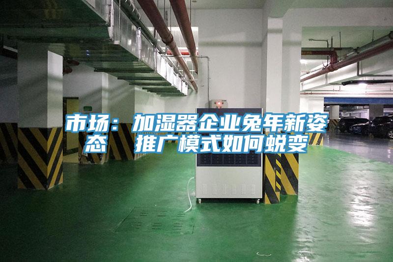 市場：加濕器企業兔年新姿態  推廣模式如何蛻變