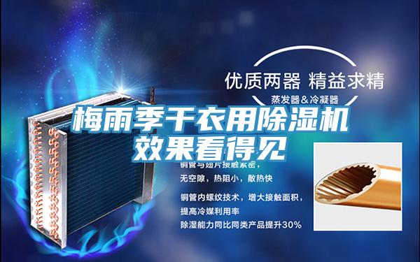 梅雨季幹衣用草莓污视频在线看效果看得見