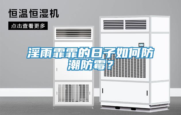 淫雨霏霏的日子如何防潮防黴？