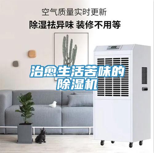 治愈生活苦味的草莓污视频在线看