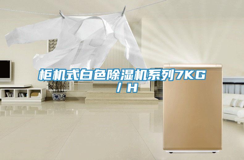 櫃機式白色草莓污视频在线看係列7KG／H