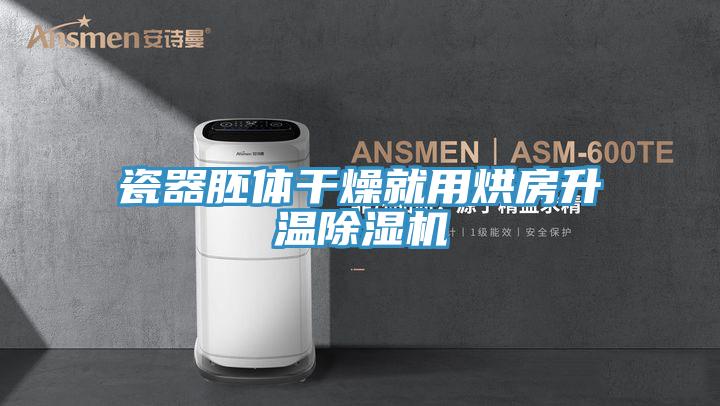 瓷器胚體幹燥就用烘房升溫草莓污视频在线看