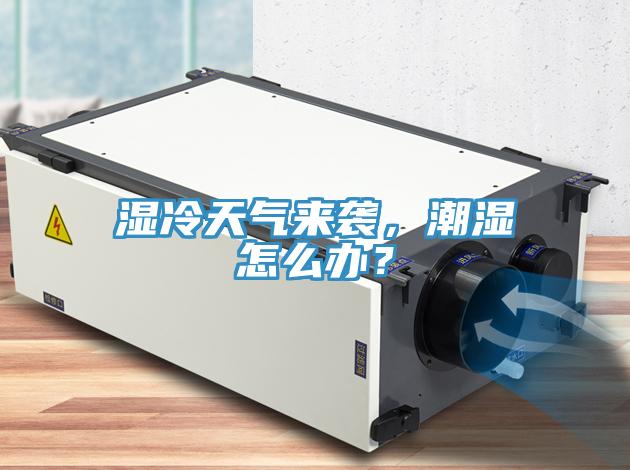 濕冷天氣來襲，潮濕怎麽辦？