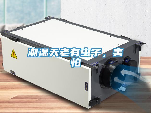 潮濕天老有蟲子，害怕