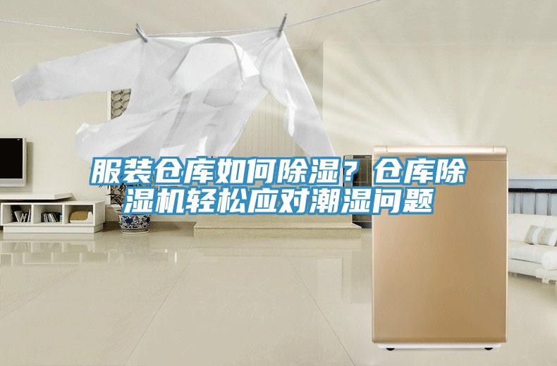 服裝倉庫如何除濕？倉庫草莓污视频在线看輕鬆應對潮濕問題